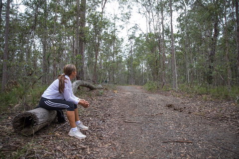 Ironbark Ridge And Spotted Gum Walking Trails - Lismore Accommodation 1