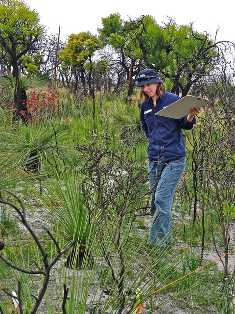 Lake Monjingup - Lismore Accommodation 0