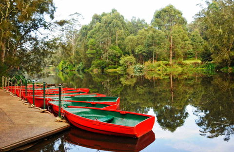 Lane Cove National Park - Lismore Accommodation 0