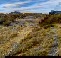 Murramarang Aboriginal Area Walking Track - Lismore Accommodation