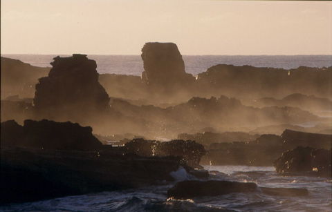 Mystery Bay Short Walk - Lismore Accommodation 1