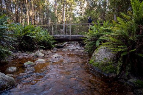 O'Neills Creek Picnic Reserve - Lismore Accommodation 0