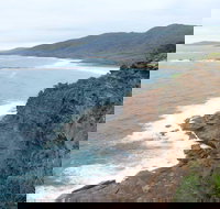 Pretty Beach to Snapper Point Walking Track - Lismore Accommodation