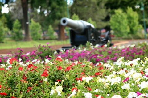 Queens Park, Toowoomba - Lismore Accommodation 1