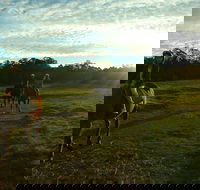 Scenic NSW Horse Riding Centre - Lismore Accommodation