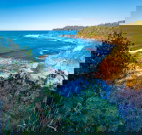 Shellgrit Beach Red Head - Lismore Accommodation