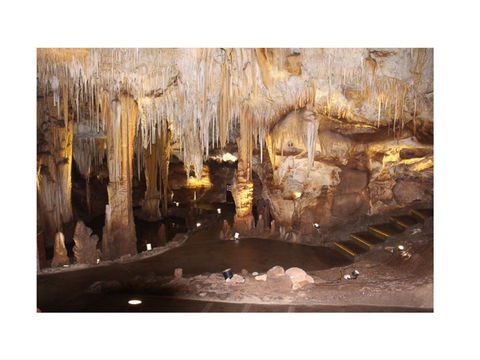 Tantanoola Caves - Lismore Accommodation 1