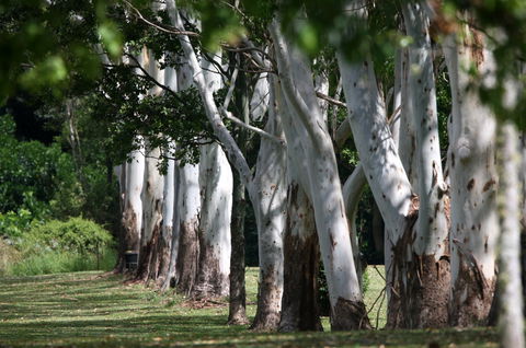 Teven Valley Golf Course - Lismore Accommodation 1