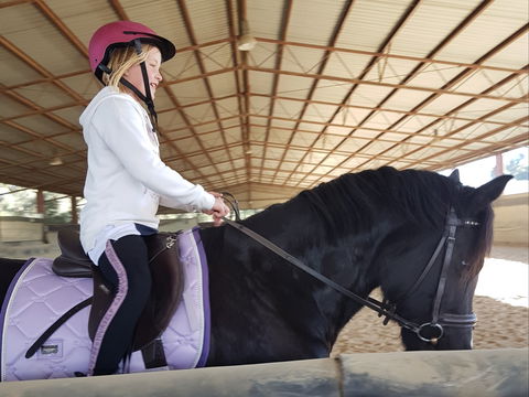 The Equine Club - Lismore Accommodation 1