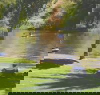 The Lions Junction Park - Tumut - Lismore Accommodation