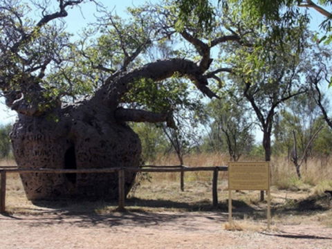 Time Walk, Windjana Gorge National Park - Lismore Accommodation 2