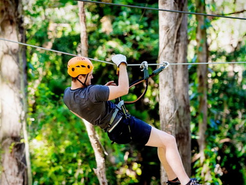 TreeTop Challenge Currumbin Wildlife Sanctuary - Lismore Accommodation 0