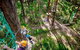 TreeTop Challenge Currumbin Wildlife Sanctuary - thumb 2