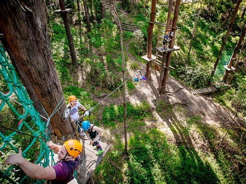 TreeTop Challenge Currumbin Wildlife Sanctuary - Lismore Accommodation 2