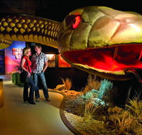 Wadlata Outback Centre - Lismore Accommodation