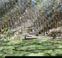 Wallaby Walking Track - Lismore Accommodation