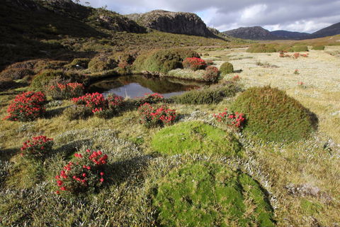 Walls Of Jerusalem National Park - Lismore Accommodation 1