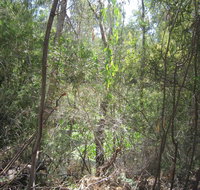 Wangaratta Common Nature Conservation Reserve - Lismore Accommodation