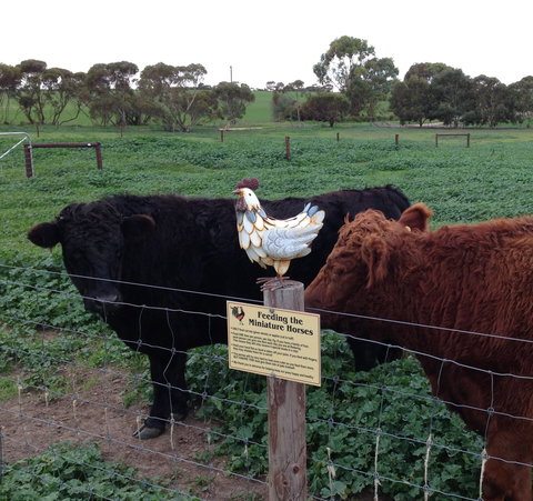 Weetulta - Lismore Accommodation 1