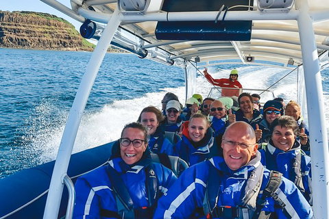 Premier Whale Watching Byron Bay - Lismore Accommodation 1