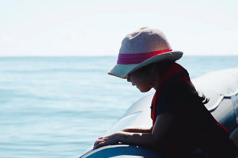 Premier Whale Watching Byron Bay - Lismore Accommodation 3