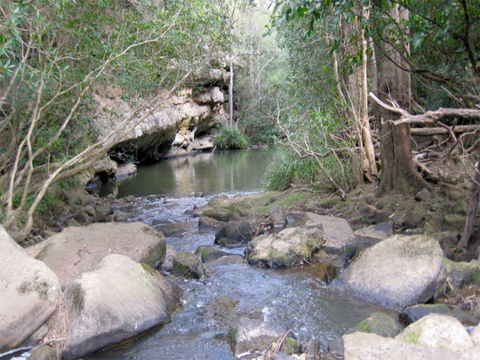 Bomaderry Creek Regional Park - Lismore Accommodation 0