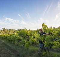 Mclaren Vale - Lismore Accommodation