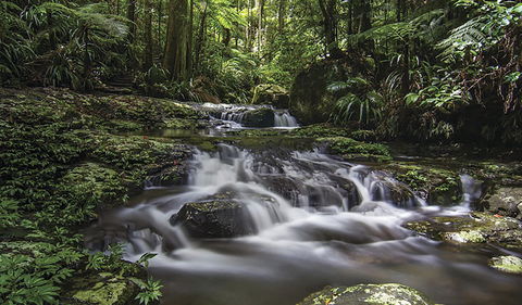 Protesters Falls Walking Track - Lismore Accommodation 0