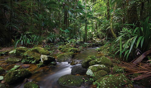 Protesters Falls Walking Track - Lismore Accommodation 2