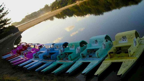 Terrigal Paddle Boats And Stand Up Paddle Boards - Lismore Accommodation 0