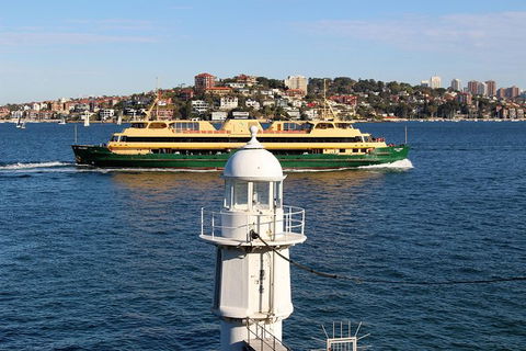 Half Day Manly Beach And More - Lismore Accommodation 7