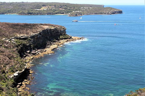 Half Day Manly Beach And More - Lismore Accommodation 9