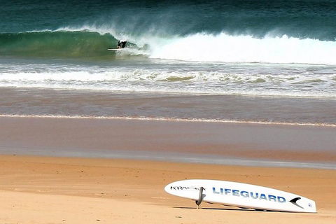 Half Day Manly Beach And More - Lismore Accommodation 5