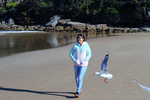 Half Day Manly Beach And More - Lismore Accommodation 6