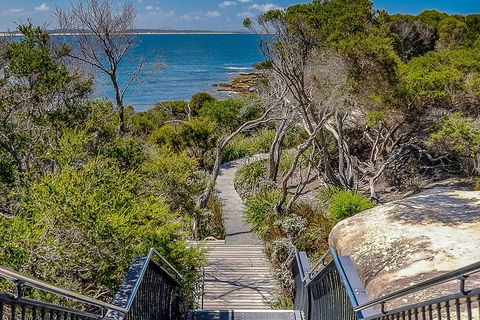 Kiama SouthCoast Uncovered, Beaches, Bush & Sunset PRIVATE Full Day Tour - Lismore Accommodation 9