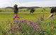Kiama SouthCoast Uncovered, Beaches, Bush & Sunset PRIVATE Full Day Tour - thumb 14