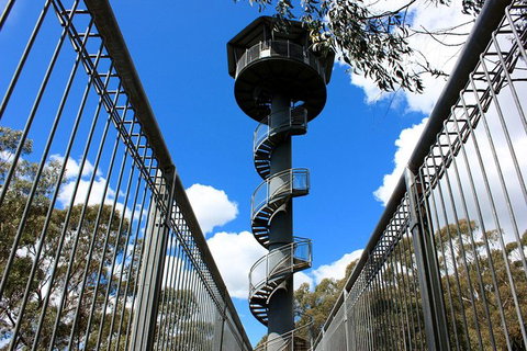 Illawarra Fly Treetop Adventures Admission Including Zipline Tour - Lismore Accommodation 3