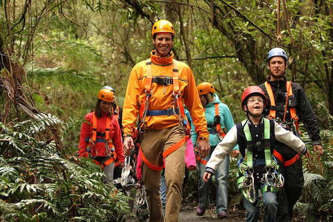 Illawarra Fly Treetop Adventures Admission Including Zipline Tour - Lismore Accommodation 1