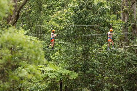 Illawarra Fly Treetop Adventures Admission Including Zipline Tour - Lismore Accommodation 0
