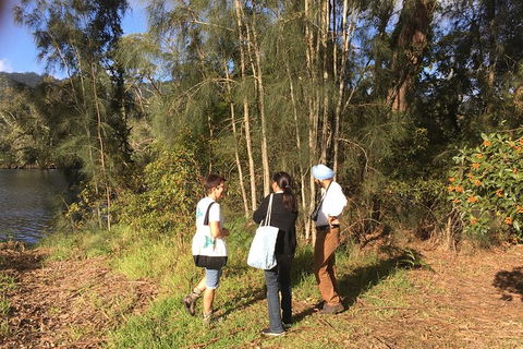 Fishermans Paradise Eco-walk - Lismore Accommodation 1