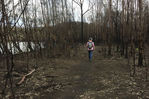 Fishermans Paradise Eco-walk - Lismore Accommodation 5