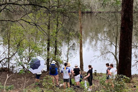 Fishermans Paradise Eco-walk - Lismore Accommodation 2