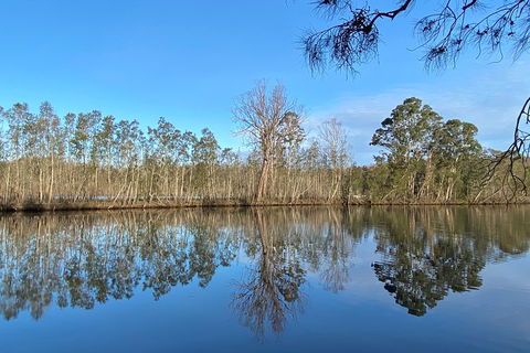 Fishermans Paradise Eco-walk - Lismore Accommodation 4