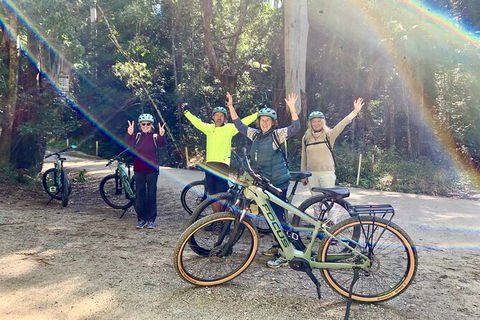 Guided E Bike Tour - Unicorn Falls & National Park - Lismore Accommodation 3