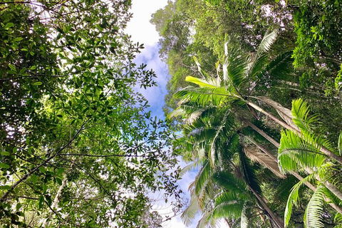 Guided E Bike Tour - Unicorn Falls & National Park - Lismore Accommodation 5