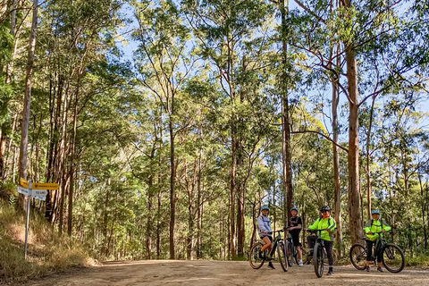 Guided E Bike Tour - Unicorn Falls & National Park - Lismore Accommodation 10