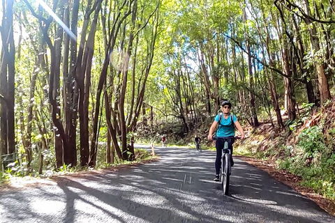 Guided E Bike Tour - Unicorn Falls & National Park - Lismore Accommodation 16
