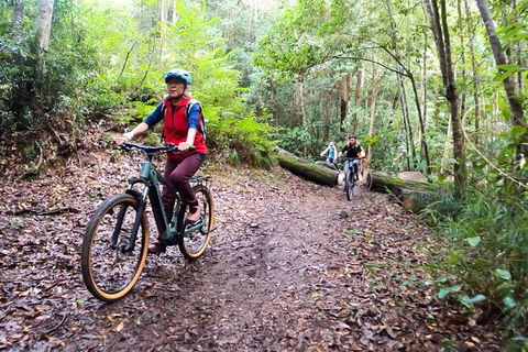 Guided E Bike Tour - Unicorn Falls & National Park - Lismore Accommodation 9