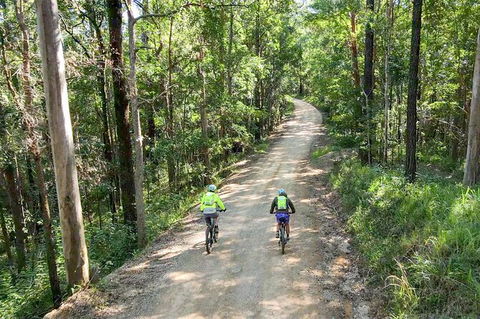 Guided E Bike Tour - Unicorn Falls & National Park - Lismore Accommodation 7