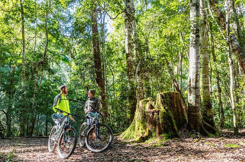 Guided E Bike Tour - Unicorn Falls & National Park - Lismore Accommodation 14